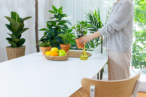 그린테리어_테이블위에 화분가꾸는 사람 사진 이미지