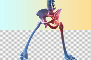 인체 3D 그래픽 누끼 PNG