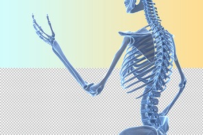 인체 3D 그래픽 누끼 PNG