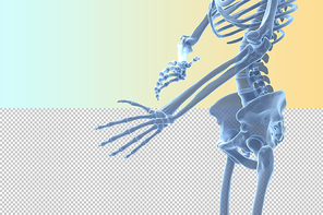 인체 3D 그래픽 누끼 PNG