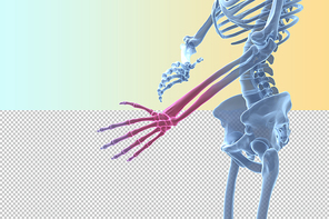 인체 3D 그래픽 누끼 PNG
