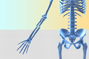 인체 3D 그래픽 누끼 PNG