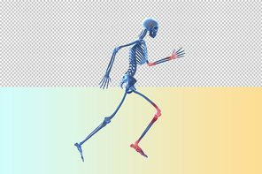 인체 3D 그래픽 누끼 PNG
