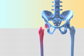 인체 3D 그래픽 누끼 PNG