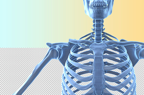 인체 3D 그래픽 누끼 PNG