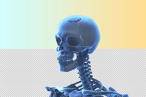 인체 3D 그래픽 누끼 PNG