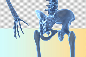 인체 3D 그래픽 누끼 PNG