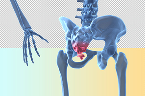 인체 3D 그래픽 누끼 PNG