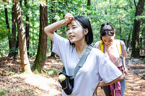 등산과플로깅_등산로 트래킹 사진 이미지