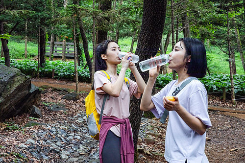 등산과플로깅_등산로 트래킹 사진 이미지