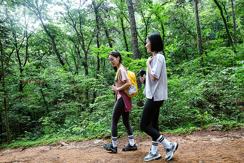 등산과플로깅_등산로 트래킹 사진 이미지