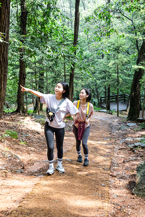 등산과플로깅_등산로 트래킹 사진 이미지