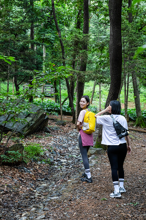 등산과플로깅_등산로 트래킹 사진 이미지