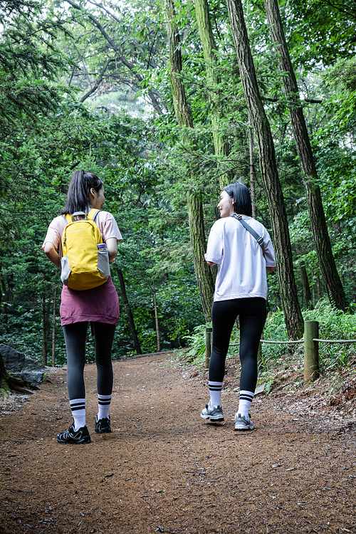 등산과플로깅_등산로 트래킹 사진 이미지