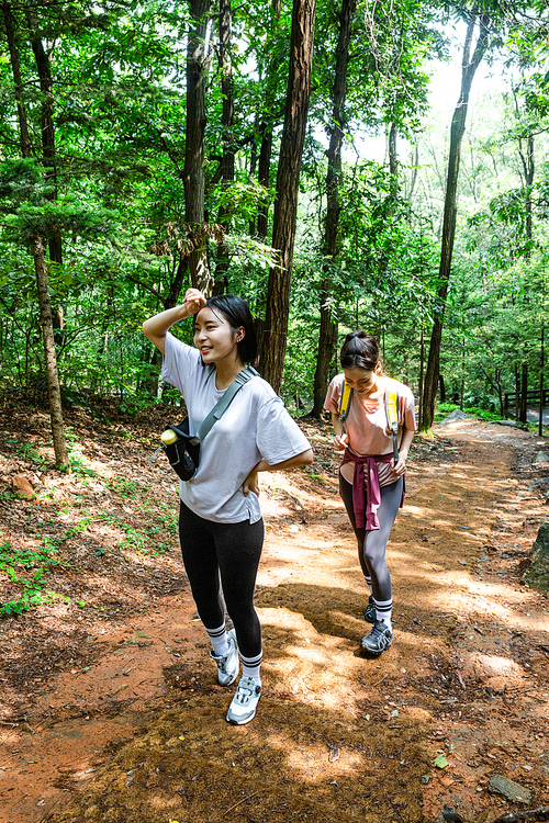 등산과플로깅_등산로 트래킹 사진 이미지