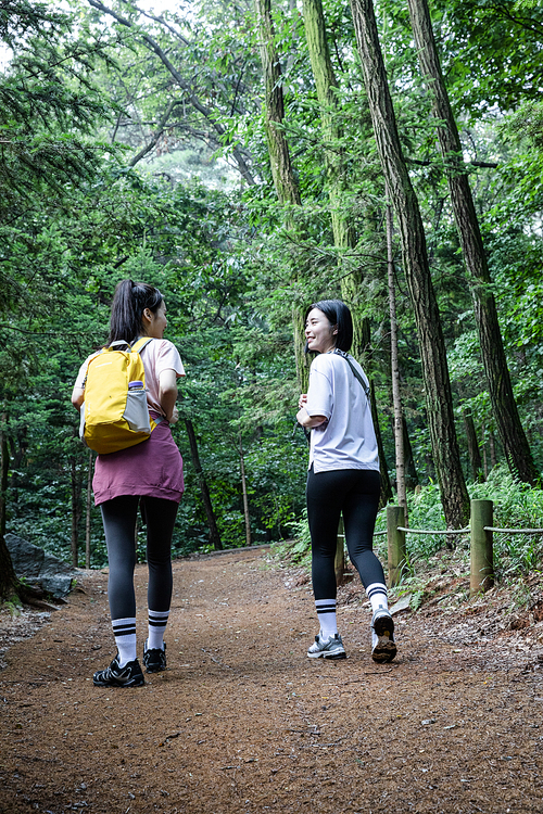 등산과플로깅_등산로 트래킹 사진 이미지