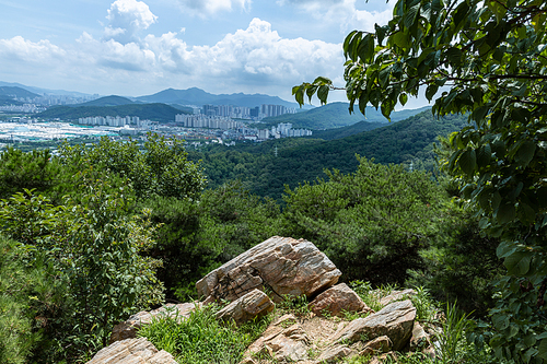 등산과플로깅_산 풍경 사진 이미지