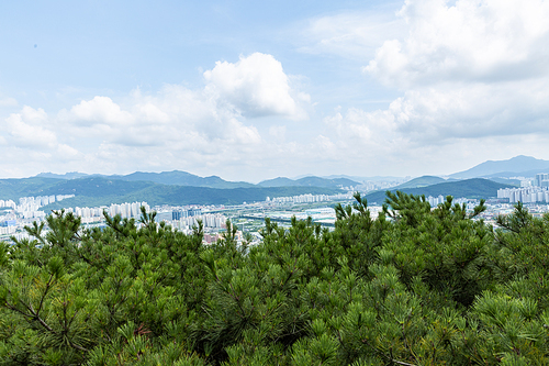 등산과플로깅_산 풍경 사진 이미지