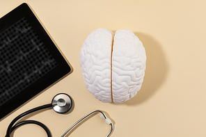 뇌건강과치매_뇌모형과 청진기 태블릿 사진 이미지