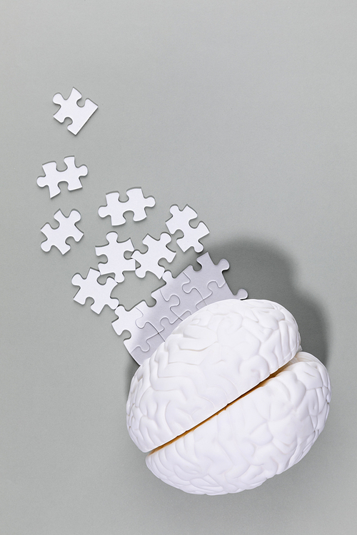 뇌건강과치매_뇌모형과 흩어지는 퍼즐 사진 이미지
