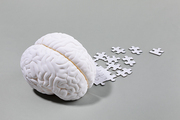 뇌건강과치매_뇌모형과 흩어지는 퍼즐 사진 이미지