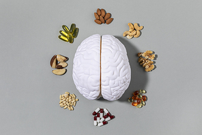 뇌건강과치매_뇌모형과 견과류 영양제 사진 이미지