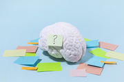 뇌건강과치매_물음표가 붙여져 있는 뇌모형과 메모지 사진 이미지