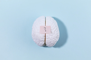 뇌건강과치매_물음표가 붙여져 있는 뇌모형 사진 이미지
