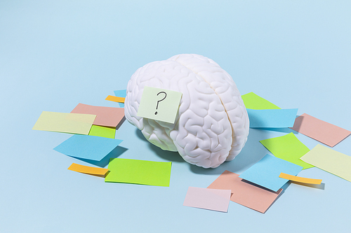뇌건강과치매_물음표가 붙여져 있는 뇌모형과 메모지 사진 이미지