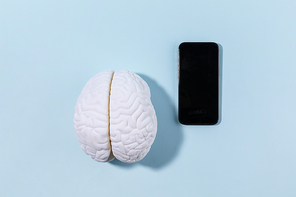 뇌건강과치매_뇌모형과 핸드폰 사진 이미지