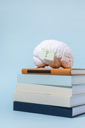 뇌건강과치매_쌓여있는 책과 뇌모형 사진 이미지