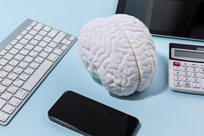 뇌건강과치매_뇌모형과 디지털기기 사진 이미지