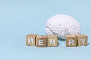 뇌건강과치매_MEMORY 블록과 뇌모형 사진 이미지