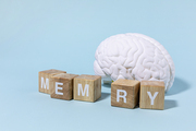 뇌건강과치매_MEMORY 블록과 뇌모형 사진 이미지