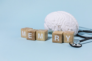 뇌건강과치매_MEMORY 블록과 뇌모형과 청진기 사진 이미지