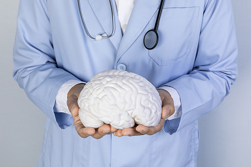 뇌건강과치매_뇌모형 들고 있는 의사 사진 이미지