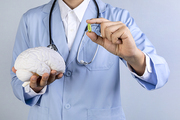 뇌건강과치매_뇌모형과 오메가3 들고 있는 의사 사진 이미지