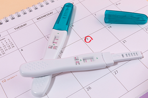 여성용품_달력과 임신테스트기 사진 이미지