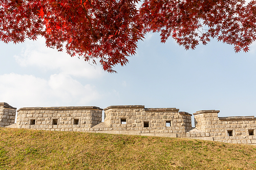 가을풍경_수원화성 성곽길과 단풍나무 사진 이미지