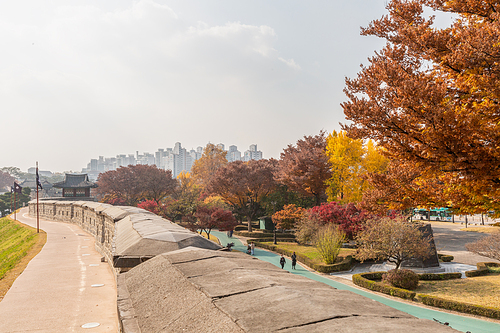 가을풍경_수원화성 성곽길과 가을 전경 사진 이미지