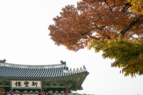 가을풍경_화성행궁과 가을 색으로 물든 나무 사진 이미지