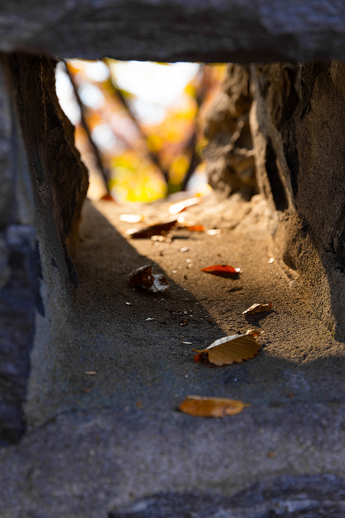 가을풍경_가을 낙엽 사진 이미지