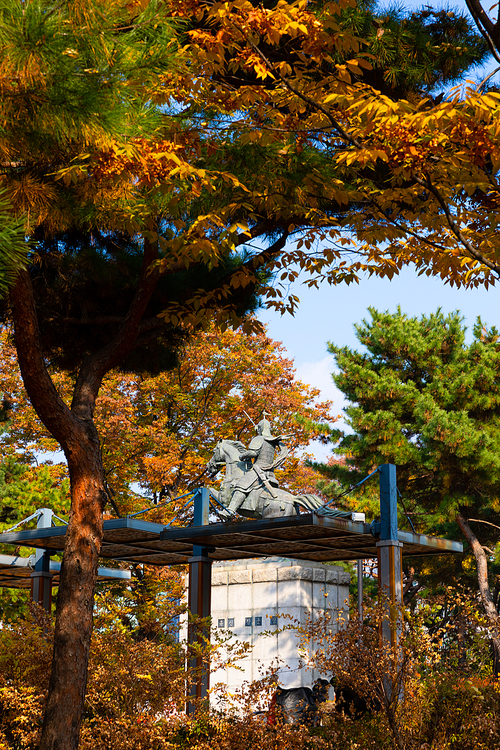 가을풍경_김유신 장군상과 가을 나무 사진 이미지
