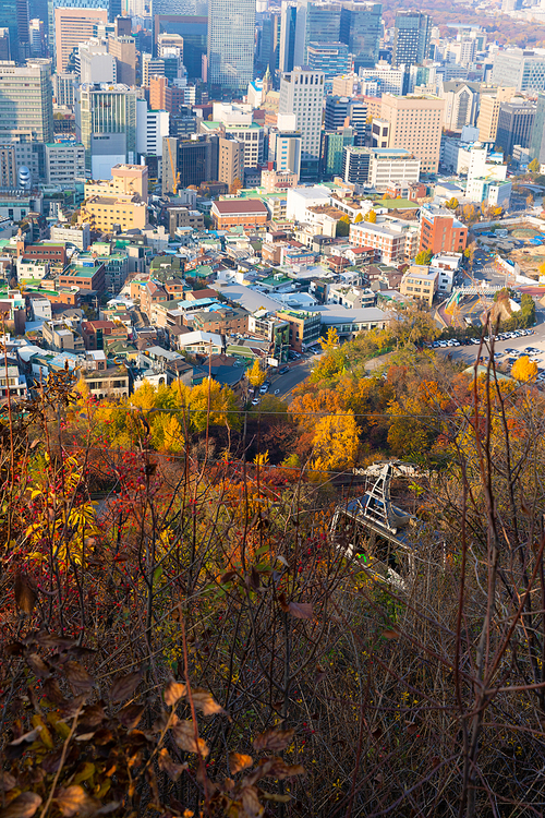 가을풍경_서울의 가을 전경 사진 이미지