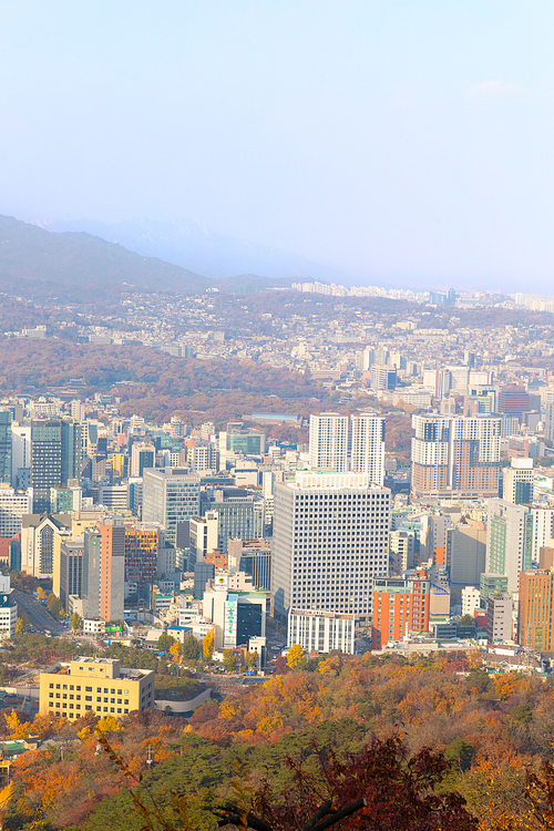 가을풍경_서울의 가을 전경 사진 이미지