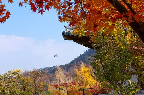 가을풍경_한옥과 가을 나무 사진 이미지