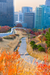 가을풍경_남산공원 전경 사진 이미지