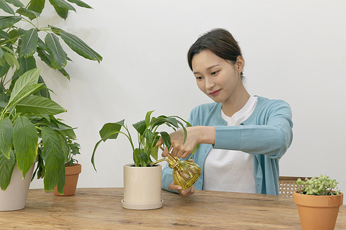 1인청년_화분 키우는 여성 사진 이미지