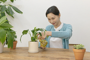 1인청년_화분 키우는 여성 사진 이미지
