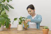1인청년_화분 키우는 여성 사진 이미지